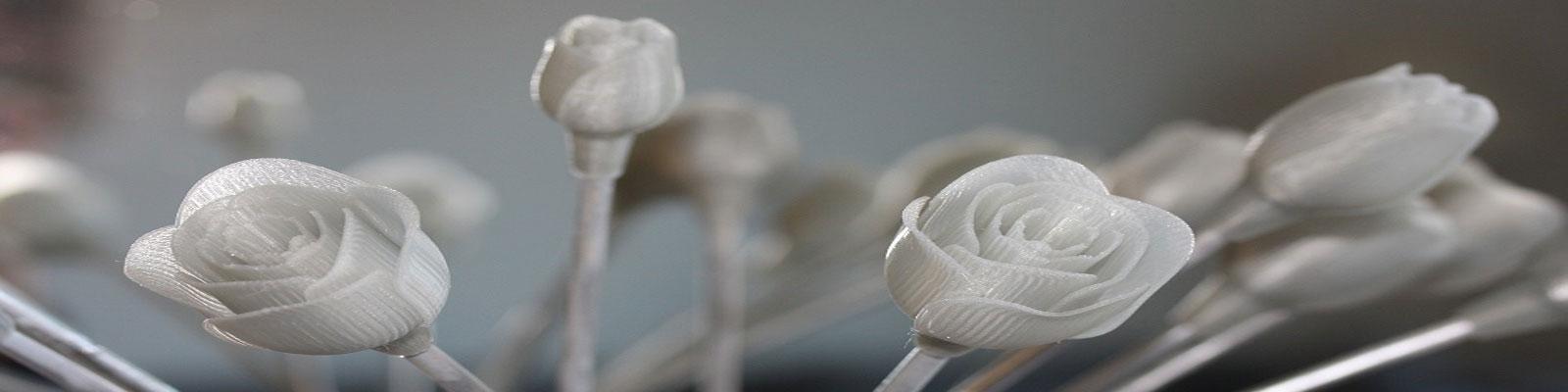 3D-Printing4