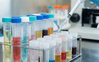 Superieure Chemische Traagheid